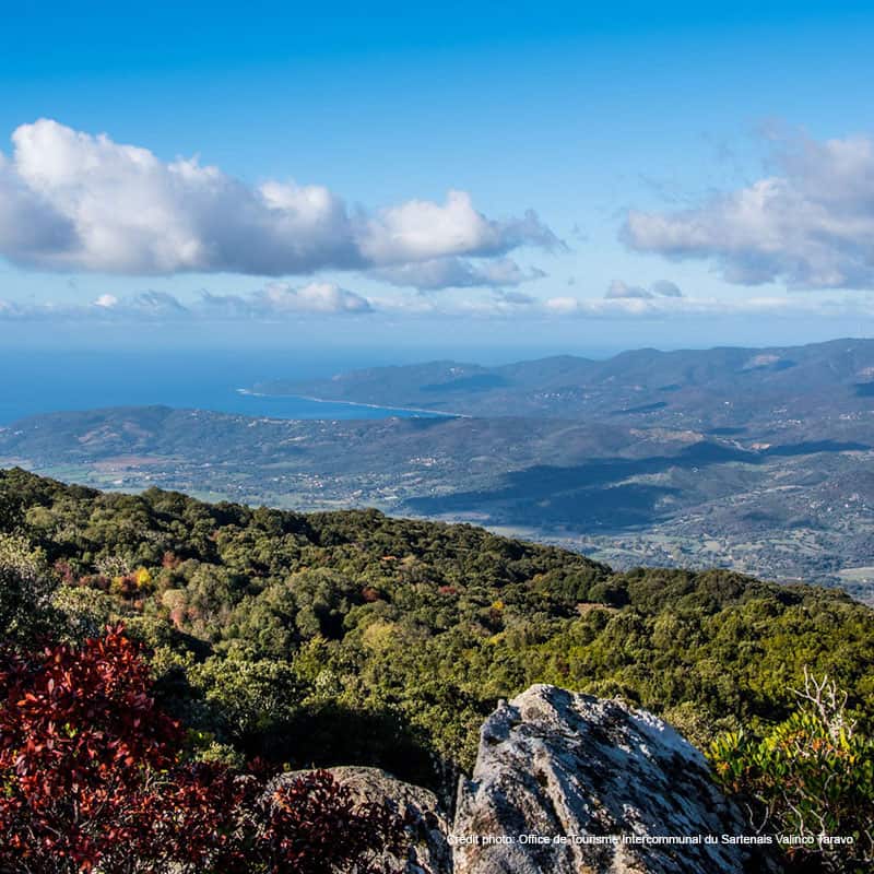 propriano corse